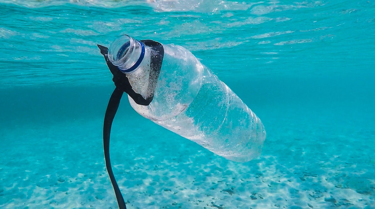 The plastics in our ocean is killing us